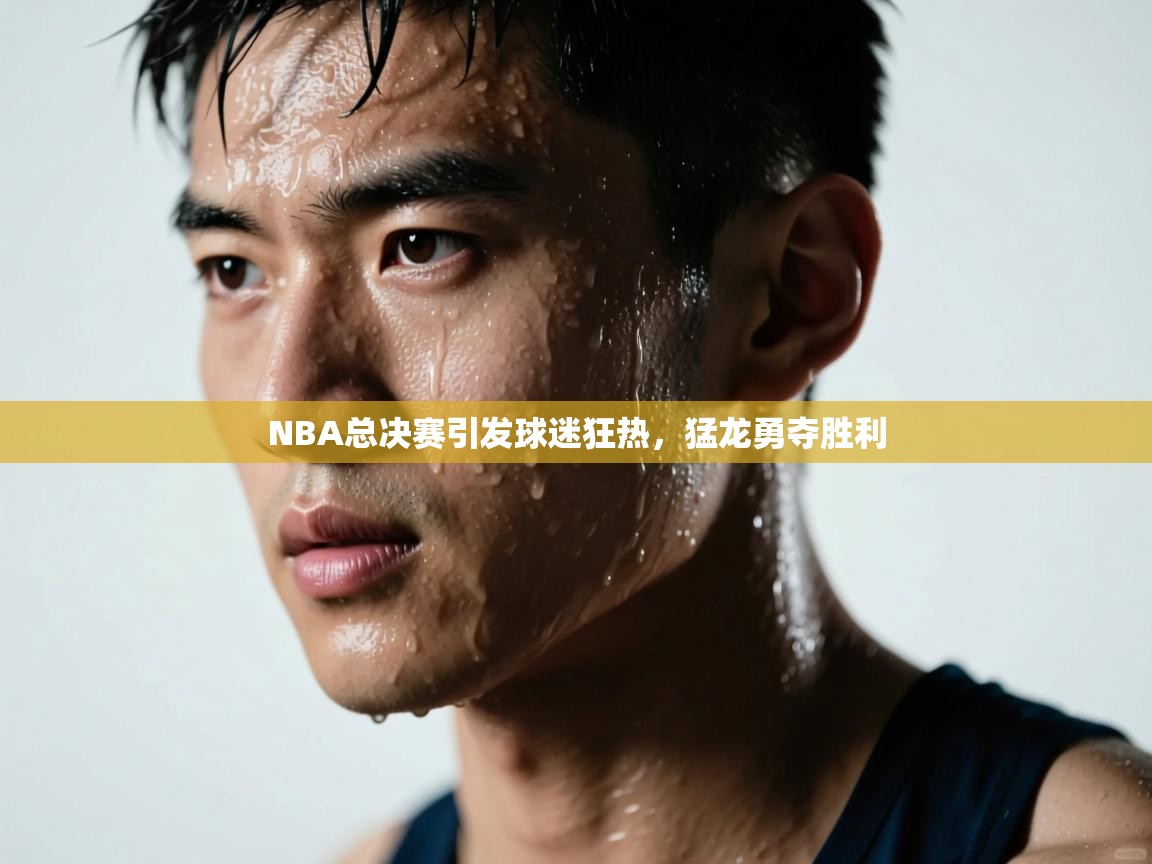 NBA总决赛引发球迷狂热，猛龙勇夺胜利  第2张