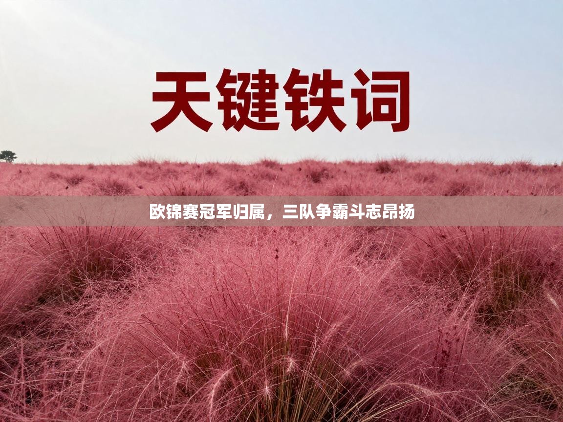 欧锦赛冠军归属，三队争霸斗志昂扬  第1张