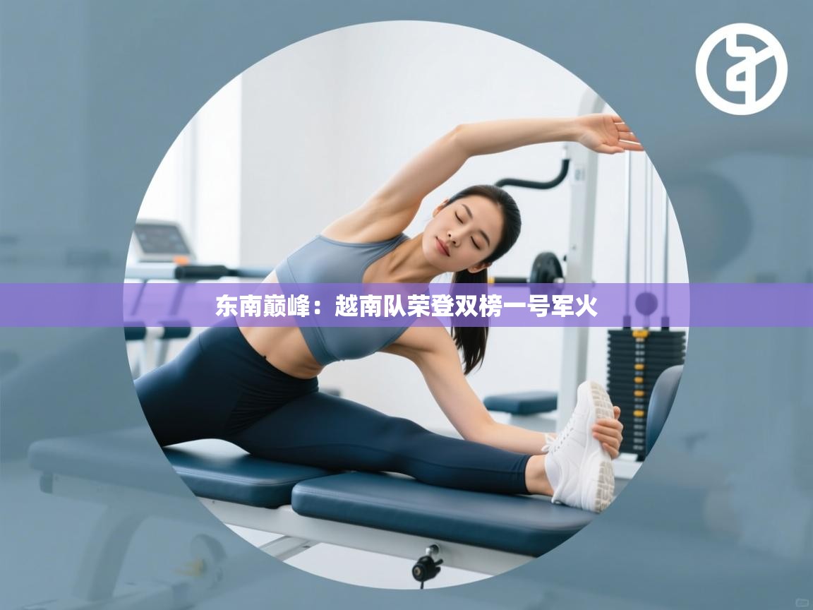 东南巅峰：越南队荣登双榜一号军火  第2张