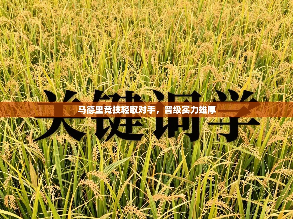 马德里竞技轻取对手，晋级实力雄厚  第1张