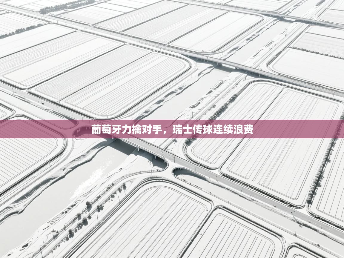 葡萄牙力擒对手，瑞士传球连续浪费  第2张